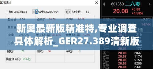 新奥最新版精准特,专业调查具体解析_GER27.389清新版