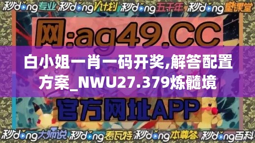 白小姐一肖一码开奖,解答配置方案_NWU27.379炼髓境