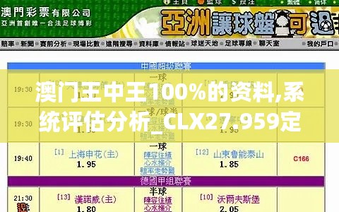 澳门王中王100%的资料,系统评估分析_CLX27.959定义版