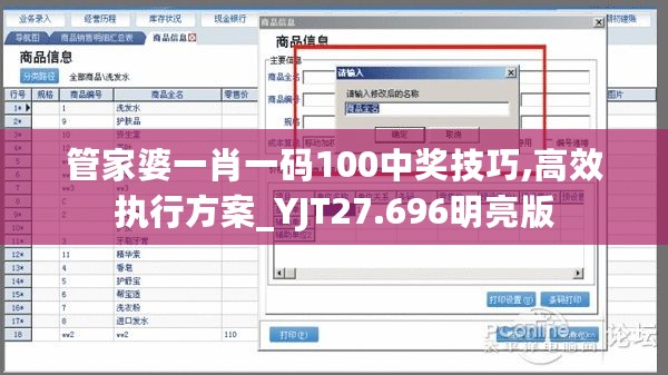 管家婆一肖一码100中奖技巧,高效执行方案_YJT27.696明亮版