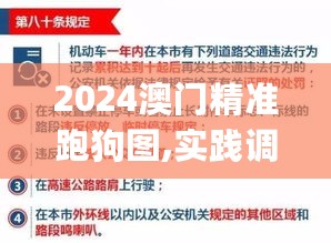 2024澳门精准跑狗图,实践调查说明_YTJ27.499影视版