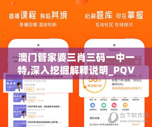 澳门管家婆三肖三码一中一特,深入挖掘解释说明_PQV27.881经典版