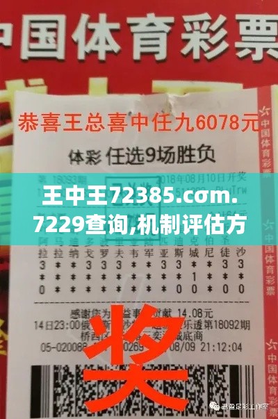 王中王72385.cσm.7229查询,机制评估方案_QAZ27.848安静版