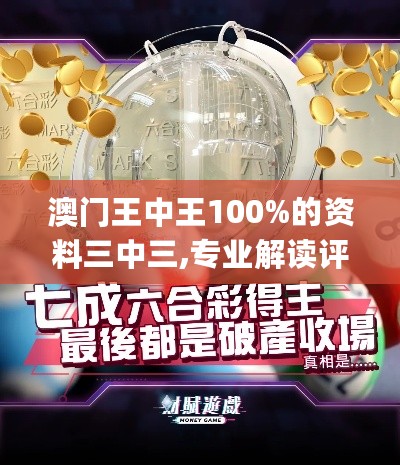 澳门王中王100%的资料三中三,专业解读评估_RJC27.937幽雅版