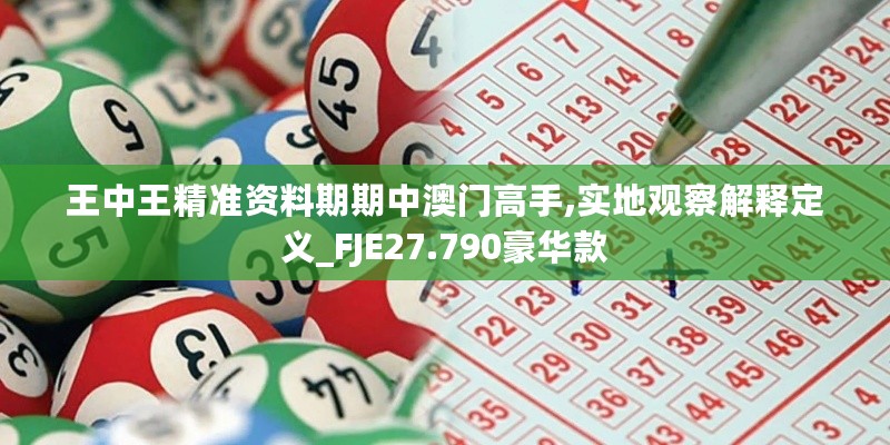 王中王精准资料期期中澳门高手,实地观察解释定义_FJE27.790豪华款