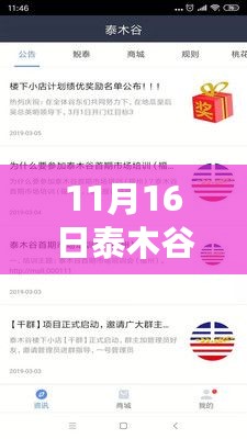 泰木谷温馨日常，11月16日的快乐时光记录