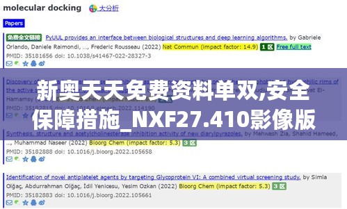 新奥天天免费资料单双,安全保障措施_NXF27.410影像版