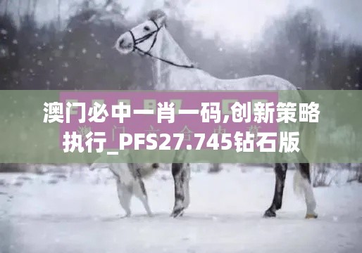 澳门必中一肖一码,创新策略执行_PFS27.745钻石版