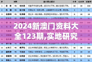 2024新澳门资料大全123期,实地研究解答协助_YVP27.518多维版