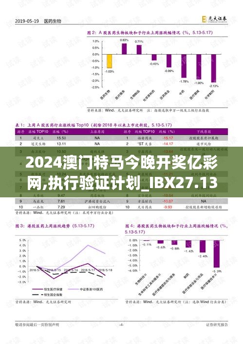 2024澳门特马今晚开奖亿彩网,执行验证计划_IBX27.135效率版