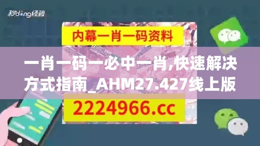 一肖一码一必中一肖,快速解决方式指南_AHM27.427线上版