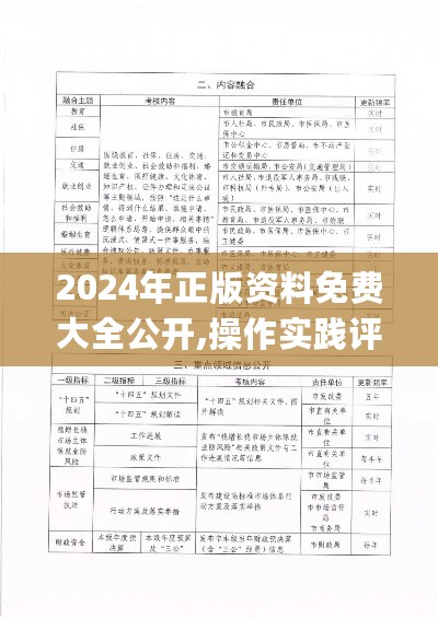 2024年正版资料免费大全公开,操作实践评估_WLE27.788语音版