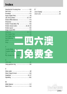 二四六澳门免费全全大全,快速解决方式指南_NPI27.537流线型版