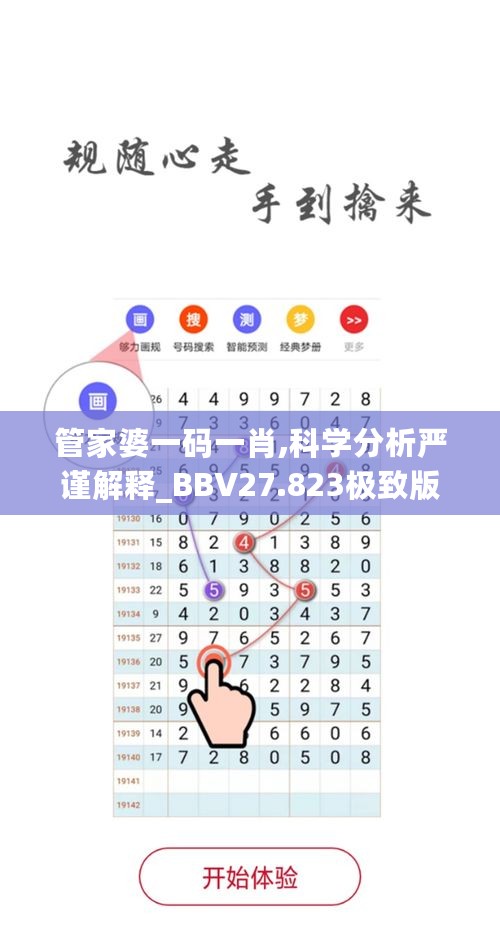 管家婆一码一肖,科学分析严谨解释_BBV27.823极致版