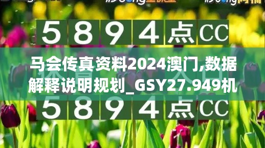 马会传真资料2024澳门,数据解释说明规划_GSY27.949机器版