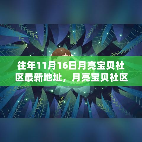 月亮宝贝社区新址奇遇与友谊的温暖相拥，往年11月16日的社区更新回顾