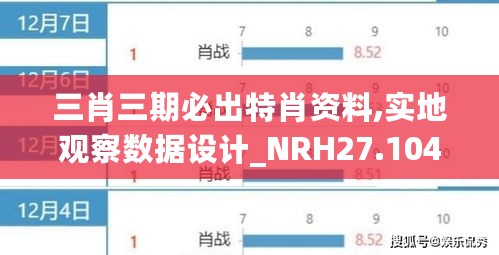 三肖三期必出特肖资料,实地观察数据设计_NRH27.104图形版