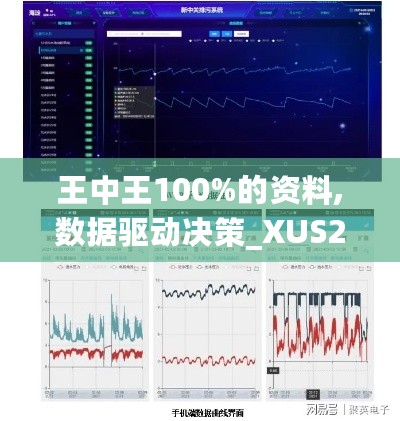 王中王100%的资料,数据驱动决策_XUS27.175清晰版