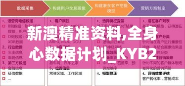 新澳精准资料,全身心数据计划_KYB27.220百搭版