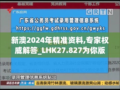 新澳2024年精准资料,专家权威解答_LHK27.827为你版