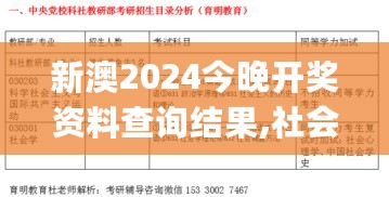 新澳2024今晚开奖资料查询结果,社会承担实践战略_ADM27.316轻量版