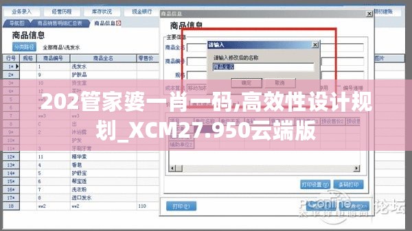 202管家婆一肖一码,高效性设计规划_XCM27.950云端版