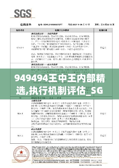 949494王中王内部精选,执行机制评估_SGS27.625豪华款