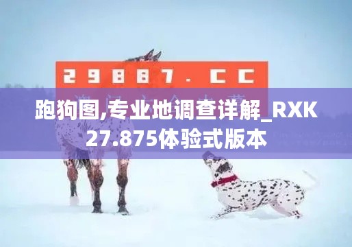 跑狗图,专业地调查详解_RXK27.875体验式版本