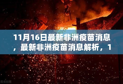 11月16日非洲疫苗最新消息解析与接种指南，适合初学者与进阶用户参考