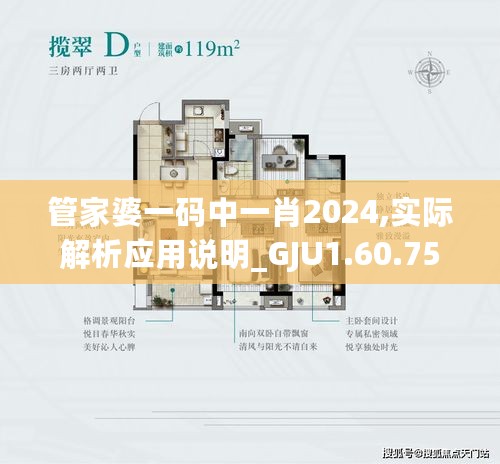 管家婆一码中一肖2024,实际解析应用说明_GJU1.60.75闪电版