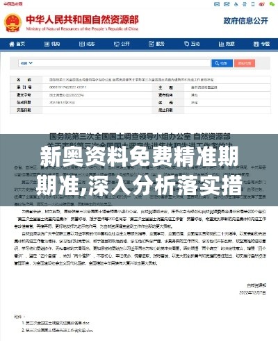 新奥资料免费精准期期准,深入分析落实措施_YHV2.66.48可变版