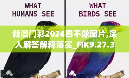 新澳门彩2024四不像图片,深入解答解释落实_FIK9.27.31初学版