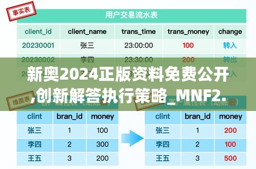 新奥2024正版资料免费公开,创新解答执行策略_MNF2.48.43投影版