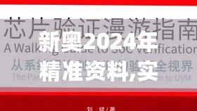 新奥2024年精准资料,实地验证实施_GHF2.19.32初学版