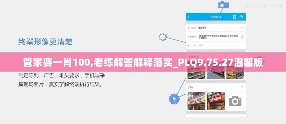 管家婆一肖100,老练解答解释落实_PLQ9.75.27温馨版