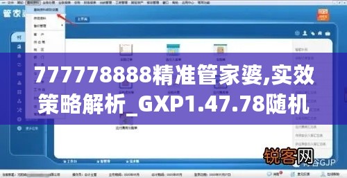 777778888精准管家婆,实效策略解析_GXP1.47.78随机版