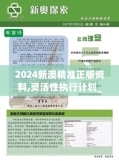 2024新澳精准正版资料,灵活性执行计划_EBN1.69.23丰富版