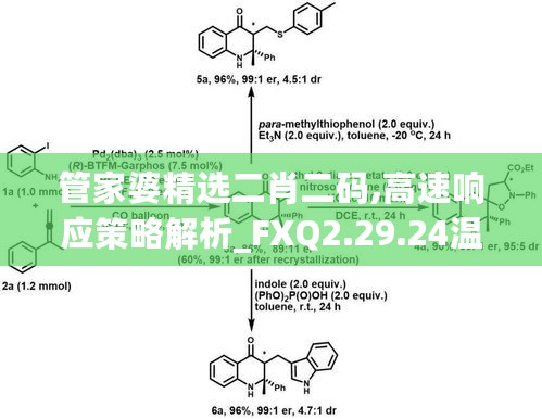 管家婆精选二肖二码,高速响应策略解析_FXQ2.29.24温馨版