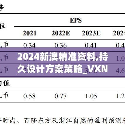 2024新澳精准资料,持久设计方案策略_VXN6.46.87个性版