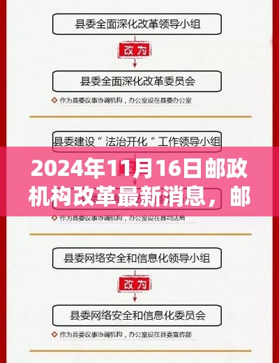 邮政改革新篇章，拥抱变革，自信闪耀的邮政机构改革最新动态（2024年11月16日）