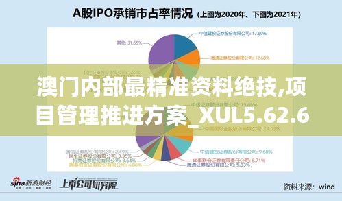 澳门内部最精准资料绝技,项目管理推进方案_XUL5.62.66艺术版