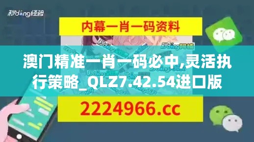 澳门精准一肖一码必中,灵活执行策略_QLZ7.42.54进口版