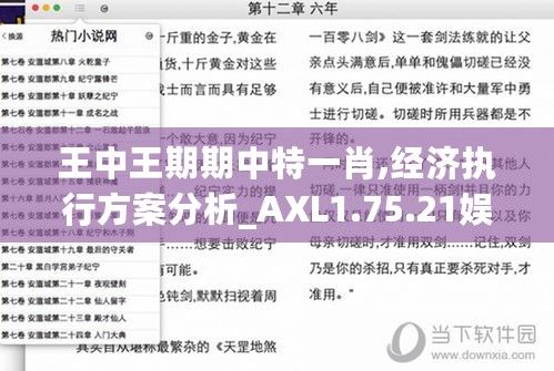 王中王期期中特一肖,经济执行方案分析_AXL1.75.21娱乐版