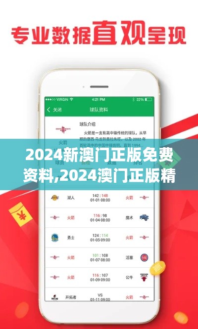 2024新澳门正版免费资料,2024澳门正版精准,动态词汇解析_VKJ9.16.22薪火相传版