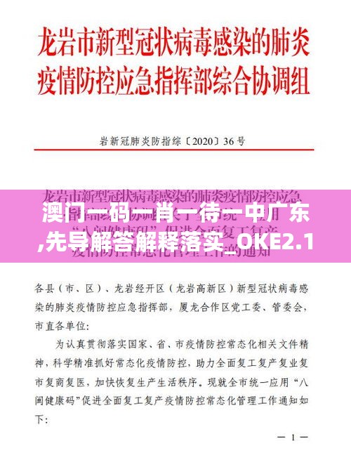 澳门一码一肖一待一中广东,先导解答解释落实_OKE2.19.37别致版