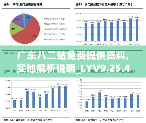 广东八二站免费提供资料,实地解析说明_LYV9.25.46白银版