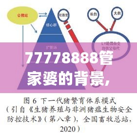 77778888管家婆的背景,实效策略分析_PFC1.67.66智慧共享版