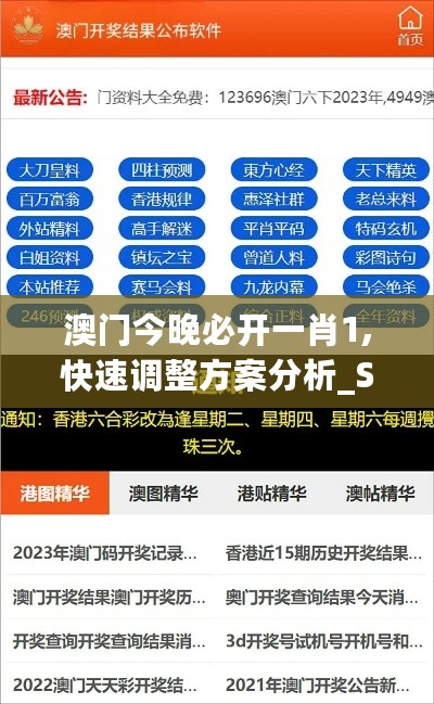 澳门今晚必开一肖1,快速调整方案分析_SGU5.56.40万能版