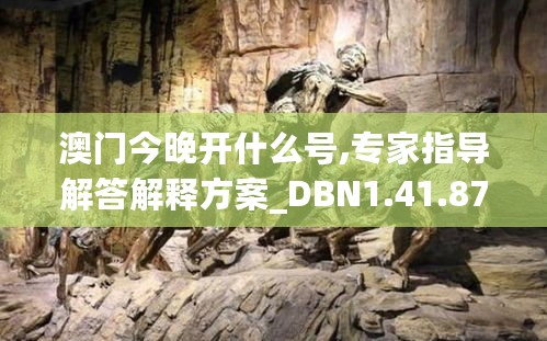 澳门今晚开什么号,专家指导解答解释方案_DBN1.41.87物联网版