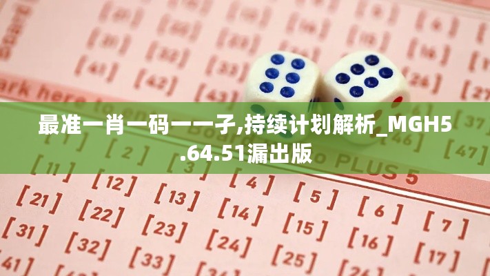 最准一肖一码一一孑,持续计划解析_MGH5.64.51漏出版